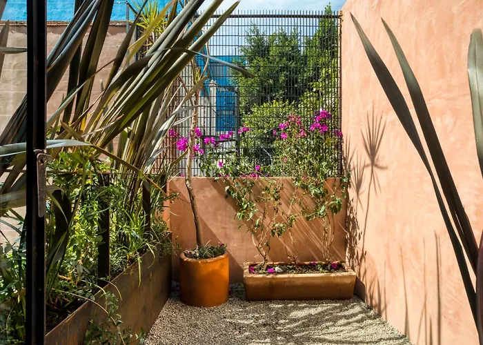 Casa Tenue